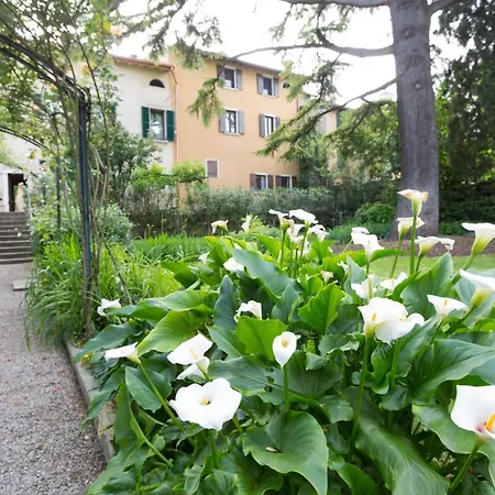 Corte Delle Muse Bed and Breakfast San Felice del Benaco